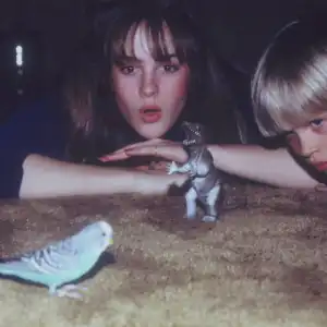 Big Thie - Animals